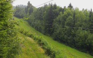 Laskowa pośredni - 02-08-2025 04:47