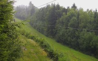 Laskowa pośredni - 02-08-2025 04:58