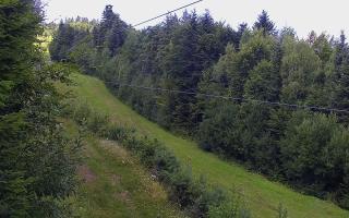Laskowa pośredni - 02-08-2025 09:55