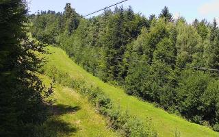 Laskowa pośredni - 02-08-2025 10:17