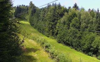 Laskowa pośredni - 02-08-2025 10:28
