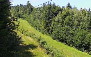 Laskowa pośredni - 02-08-2025 10:39