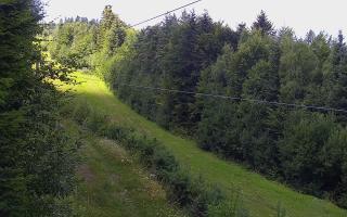 Laskowa pośredni - 02-08-2025 11:01