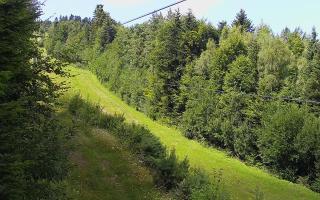 Laskowa pośredni - 02-08-2025 11:23