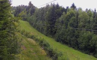 Laskowa pośredni - 02-08-2025 11:45