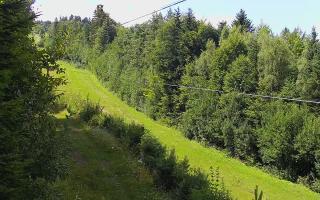 Laskowa pośredni - 02-08-2025 12:07