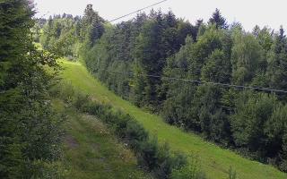 Laskowa pośredni - 02-08-2025 12:28