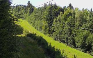 Laskowa pośredni - 02-08-2025 12:50