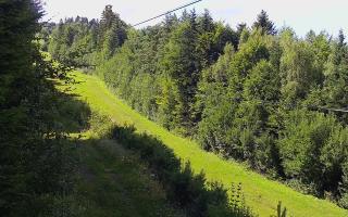 Laskowa pośredni - 02-08-2025 13:01