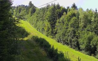 Laskowa pośredni - 02-08-2025 13:12