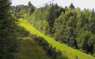 Laskowa pośredni - 02-08-2025 13:23