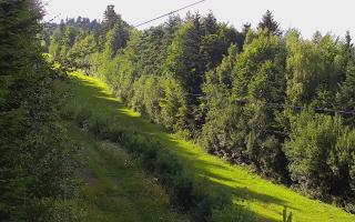 Laskowa pośredni - 02-08-2025 14:51