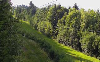 Laskowa pośredni - 02-08-2025 15:02