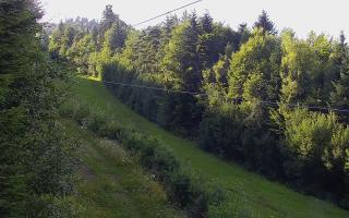Laskowa pośredni - 02-08-2025 15:46