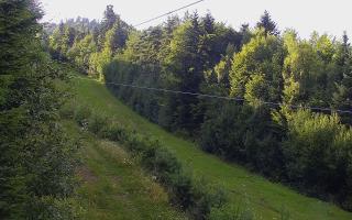 Laskowa pośredni - 02-08-2025 15:57