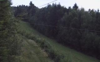 Laskowa pośredni - 03-08-2025 02:34