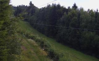 Laskowa pośredni - 03-08-2025 02:45
