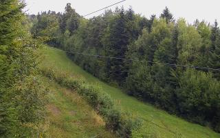 Laskowa pośredni - 15-09-2025 05:01