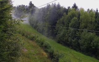 Laskowa pośredni - 16-09-2025 07:44