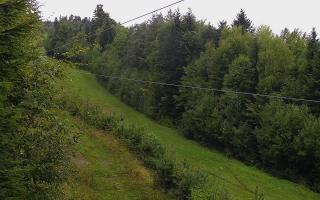 Laskowa pośredni - 16-09-2025 07:55