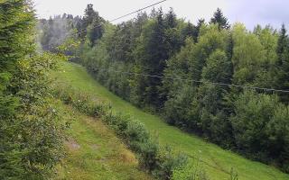 Laskowa pośredni - 16-09-2025 08:06