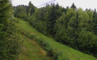 Laskowa pośredni - 16-09-2025 08:28