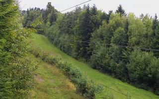 Laskowa pośredni - 16-09-2025 08:39