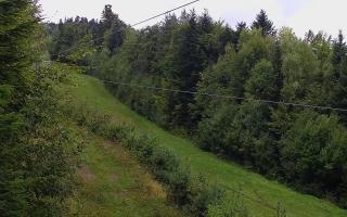 Laskowa pośredni - 16-09-2025 08:50