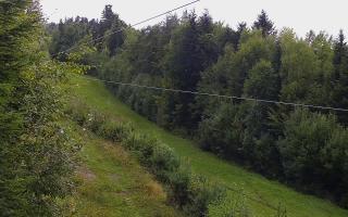 Laskowa pośredni - 16-09-2025 09:01