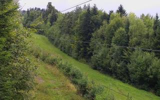 Laskowa pośredni - 16-09-2025 09:23