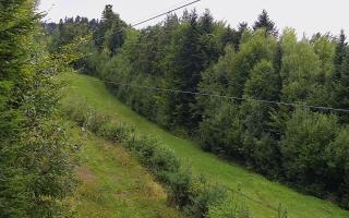 Laskowa pośredni - 16-09-2025 09:34