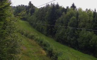 Laskowa pośredni - 16-09-2025 10:07