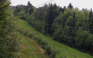 Laskowa pośredni - 16-09-2025 10:29