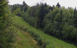 Laskowa pośredni - 16-09-2025 11:23