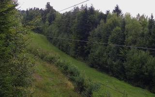 Laskowa pośredni - 16-09-2025 11:34