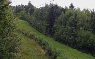 Laskowa pośredni - 16-09-2025 11:45
