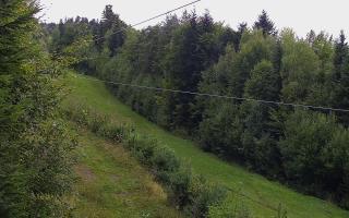 Laskowa pośredni - 16-09-2025 12:07