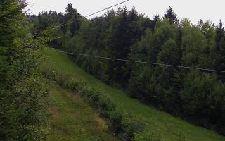 Laskowa pośredni - 16-09-2025 13:57