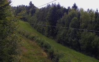 Laskowa pośredni - 16-09-2025 14:52