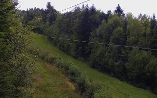 Laskowa pośredni - 16-09-2025 15:03