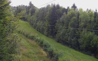 Laskowa pośredni - 16-09-2025 16:09