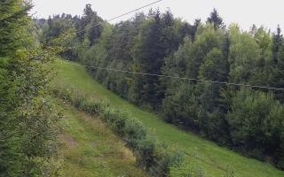 Laskowa pośredni - 16-09-2025 16:20