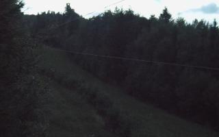 Laskowa pośredni - 16-09-2025 17:26