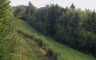 Laskowa pośredni - 18-09-2025 04:12