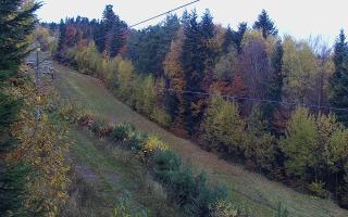 Laskowa pośredni - 29-10-2025 08:29