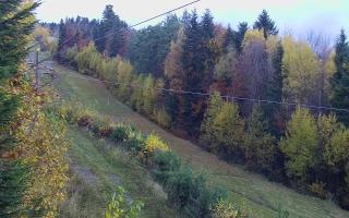 Laskowa pośredni - 30-10-2025 15:14