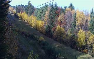 Laskowa pośredni - 02-11-2025 09:27