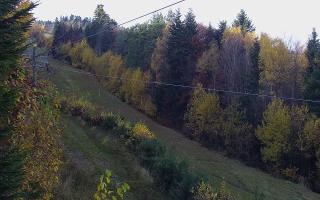 Laskowa pośredni - 02-11-2025 12:01