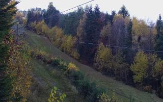 Laskowa pośredni - 02-11-2025 12:23