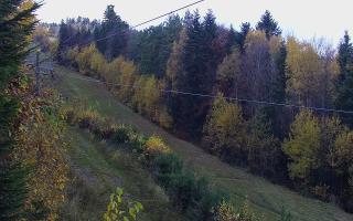 Laskowa pośredni - 02-11-2025 12:34